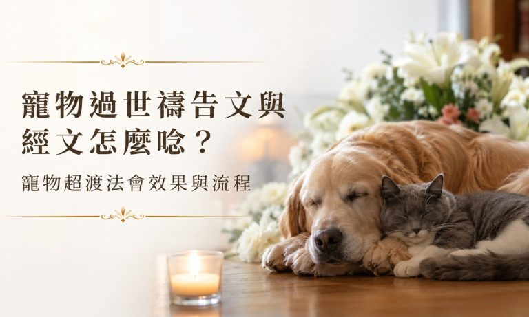 寵物過世禱告文與經文怎麼唸？寵物超渡法會效果與流程
