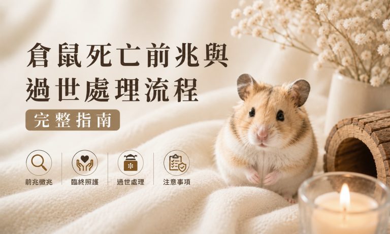 倉鼠死掉前兆有哪些?死亡姿勢與掙扎動作，倉鼠過世後怎麼處理?