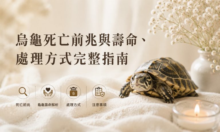 烏龜死掉怎麼處理?烏龜死亡前兆有哪些?陸龜與烏龜壽命多久?