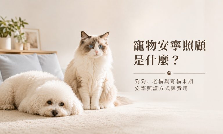 寵物安寧照顧是什麼？狗狗、老貓與腎貓末期安寧照護方式與費用