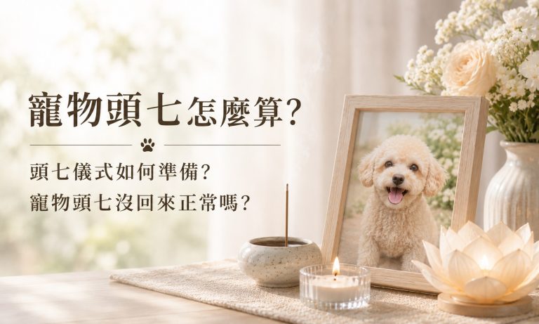 寵物頭七怎麼算?頭七儀式如何準備?寵物頭七沒回來正常嗎?